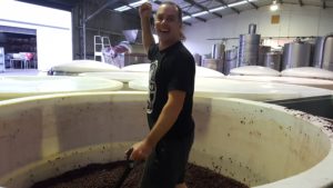 grape harvest - post-fermentation maceration