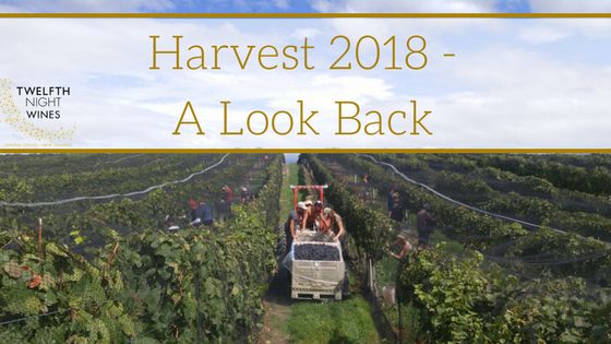 2018 grape harvest: a look back